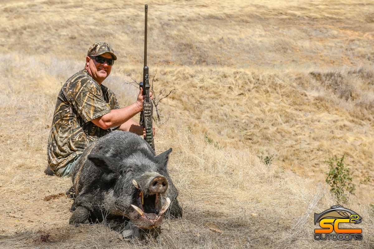 SC2 Outdoors Wild Pig Hunting California